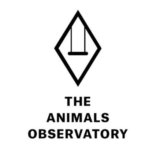 THE ANIMALS OBSERVATORY